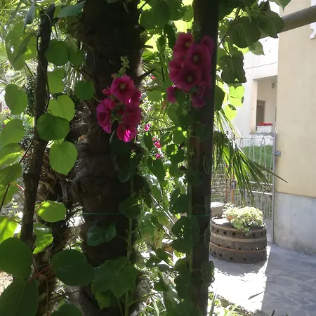 Отель Gentile 3*